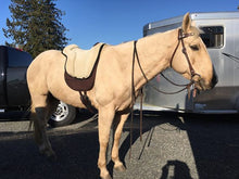 Load image into Gallery viewer, Brockamp Special Bareback Pad  ~ PRE ORDER ~