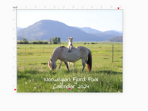 Norwegian Fjord Foal Calendar 2024