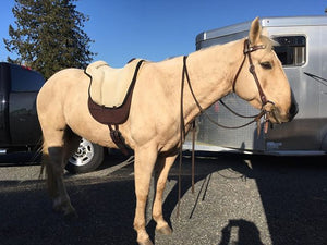Brockamp Special Bareback Pad  ~ PRE ORDER ~